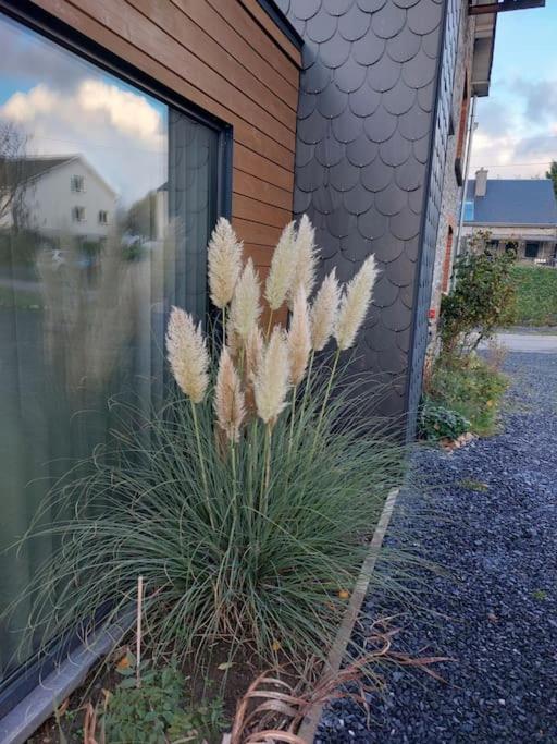 Le Reposoir Maison Spacieuse Avec Feu Au Bois Bertogne 외부 사진